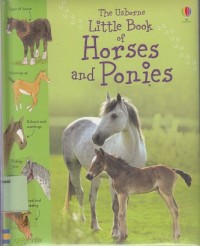 Image of Little book of horses and ponies