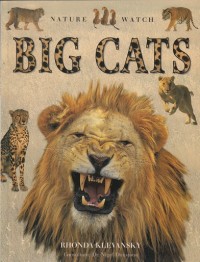 Big Cats