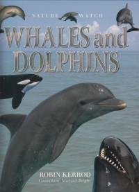 Whales and Dolphins